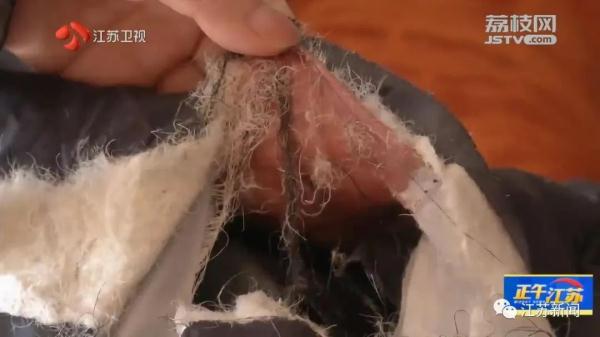 已肇事多起！野蛮冲撞、顶人咬人……前方，野猪凶猛！