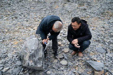 云南曲靖发现约5亿年前古生物化石 云南曲靖发现约5亿年前古生物化石