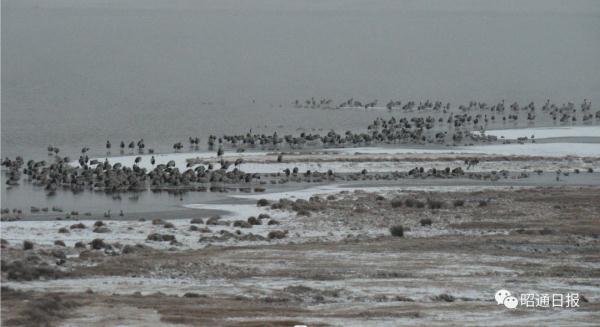 雪雪雪雪雪……云南一地迎来2024年首场降雪！