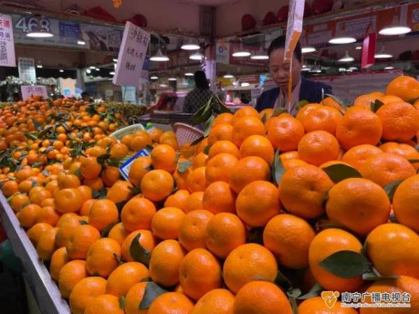 武鸣沃柑陆续上市！目前的价格如何？记者走访→