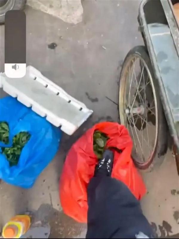执法人员踩踏摊贩蔬菜?通报来了 执法人员踩踏摊贩蔬菜?通报来了