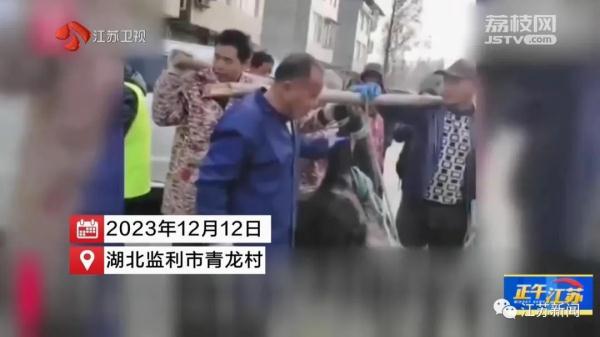 已肇事多起！野蛮冲撞、顶人咬人……前方，野猪凶猛！