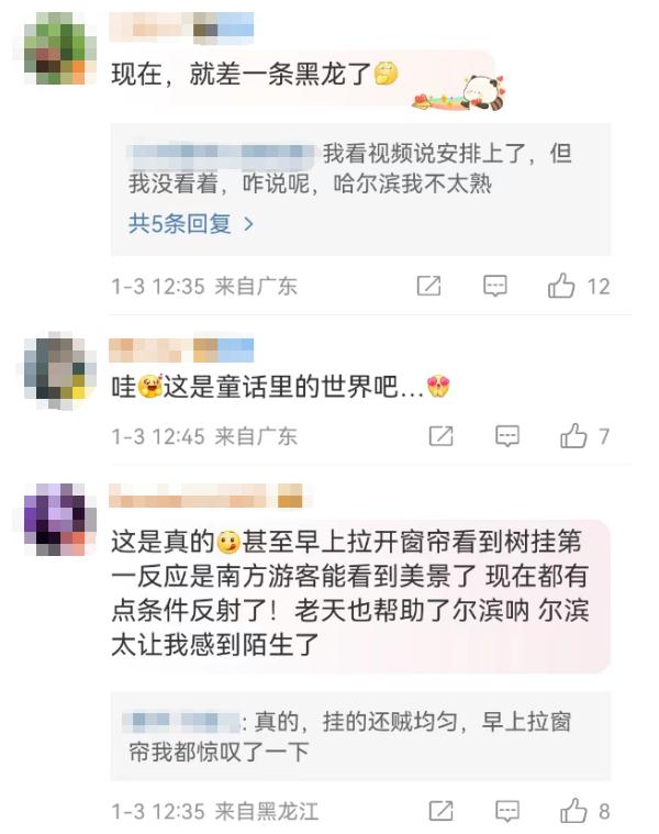 听说在哈尔滨，树枝都不闲着？