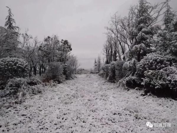 雪雪雪雪雪……云南一地迎来2024年首场降雪！
