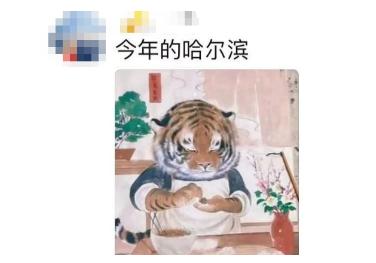 听说在哈尔滨，树枝都不闲着？