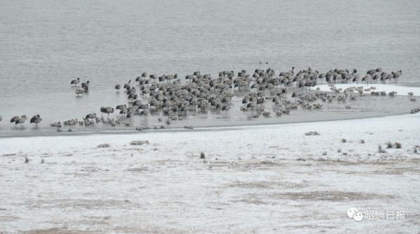 雪雪雪雪雪……云南一地迎来2024年首场降雪！