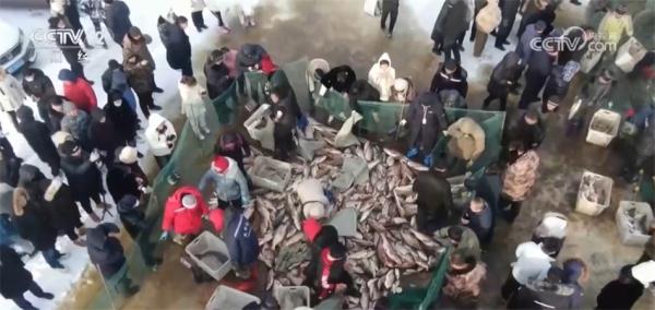 元旦春节期间蔬菜市场呈现供销两旺态势 居民“菜篮子”货足价稳