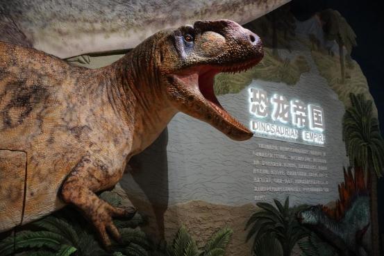 中国古动物馆开馆！就在河北！亚洲最大！免费开放……