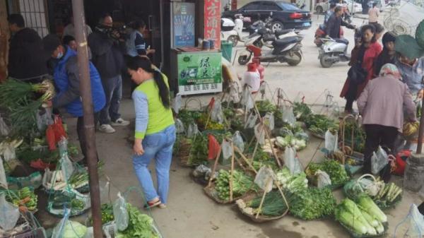 双向奔赴的信任！全场2元一把，南宁这个“无人菜摊” 摆了十几年