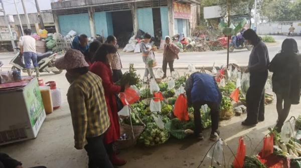 双向奔赴的信任！全场2元一把，南宁这个“无人菜摊” 摆了十几年