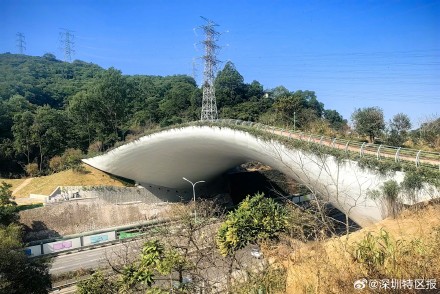 “两山串门”真方便！深圳修了一座给野生动物走的桥