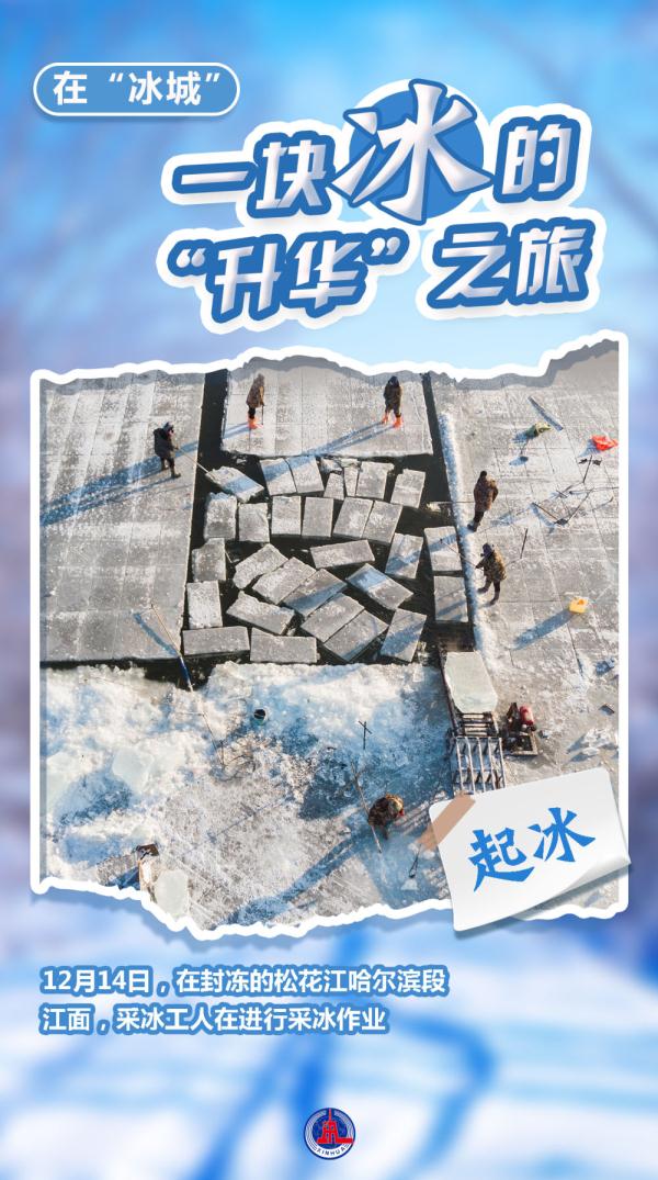 “尔滨”,你的冰是最美的衣裳 “尔滨”,你的冰是最美的衣裳