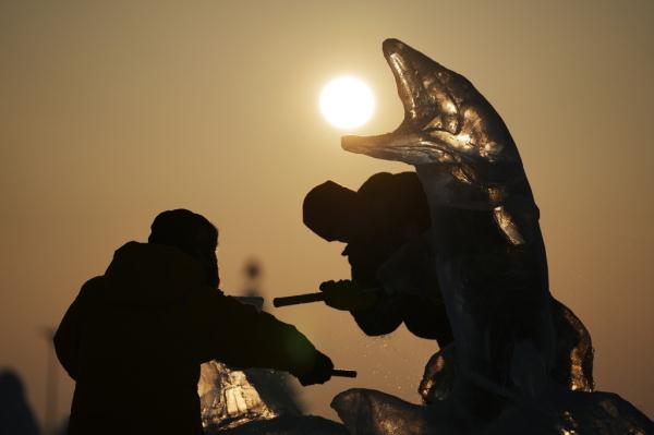 齐聚哈尔滨！各国冰雕高手展现“冰城”极寒之美