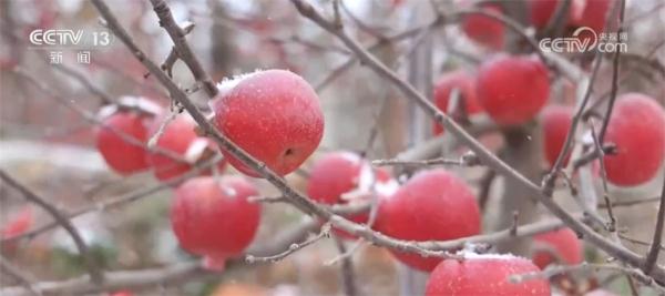 2023年期货市场规模稳步扩大 “保险+期货”模式服务乡村振兴见实效 2023年期货市场规模稳步扩大 “保险+期货”模式服务乡村振兴见实效