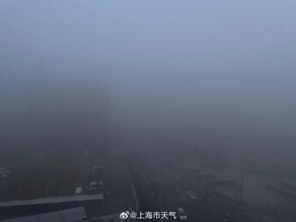上海一高速多车相撞，因团雾引发！警方通报