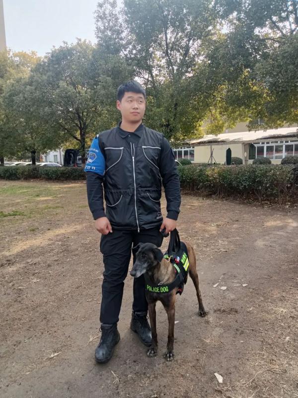 一“站”成名！跨年夜，警犬站立乘地铁引围观