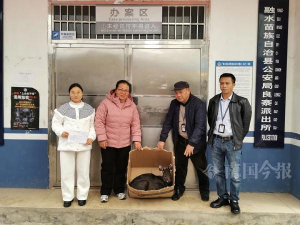 新记录种！柳州女子半路车坏，竟让她发现罕见萌物