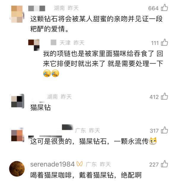 珠宝店的钻石“不翼而飞”，一查监控竟是被猫吃了……