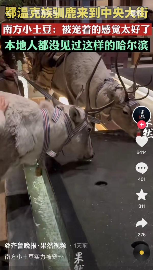 哈尔滨与全国人民的这场双向奔赴，核心密码是“真诚”！