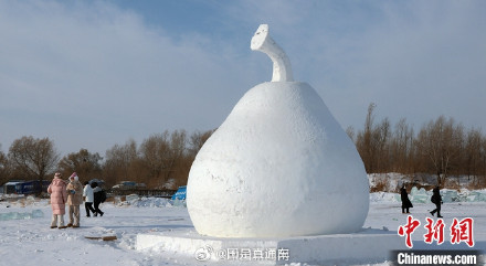 尔滨你为啥不宣传这个大冻梨雪雕！