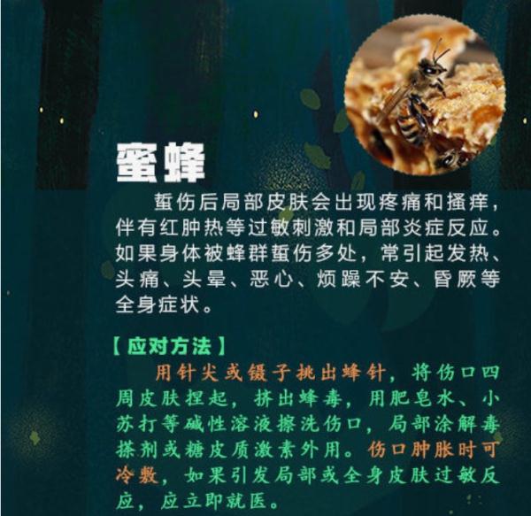 女孩拍完写真照，全身出红疹！医生紧急提醒：多人已中招……