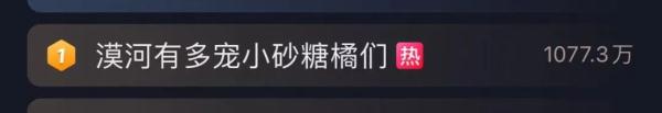 移民管理警察“看娃”，11个“砂糖橘”一个都没少