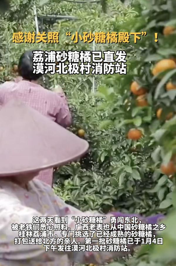 “小砂糖橘”的老家回礼东北老铁!沈阳文旅局局长喊话:路过沈阳看一看! “小砂糖橘”的老家回礼东北老铁!沈阳文旅局局长喊话:路过沈阳看一看!