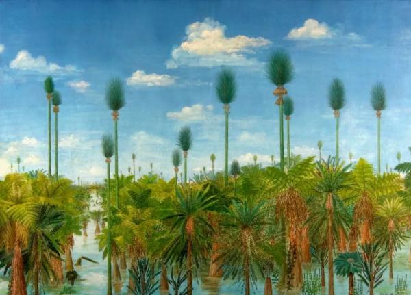 煤层下的“植物庞贝城”该如何保护? 煤层下的“植物庞贝城”该如何保护?