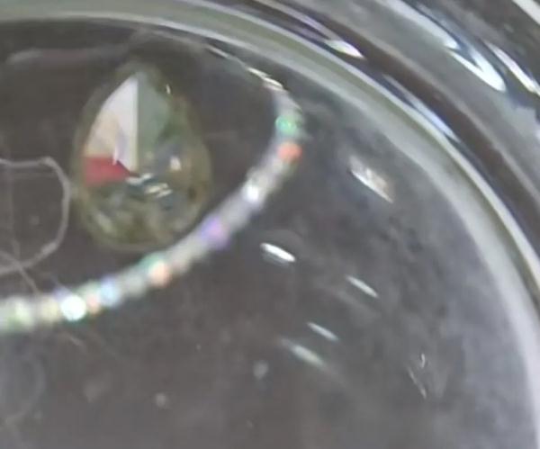 珠宝店的钻石“不翼而飞”，一查监控竟是被猫吃了……