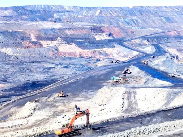 煤层下的“植物庞贝城”该如何保护? 煤层下的“植物庞贝城”该如何保护?