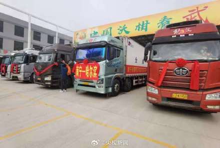 送给尔滨的189吨砂糖橘和沃柑出发了