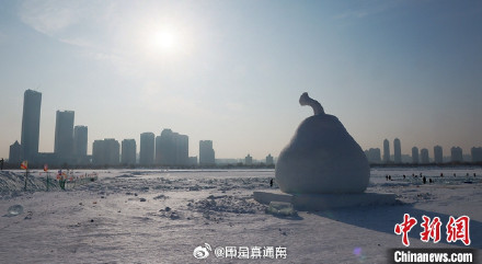 尔滨你为啥不宣传这个大冻梨雪雕！