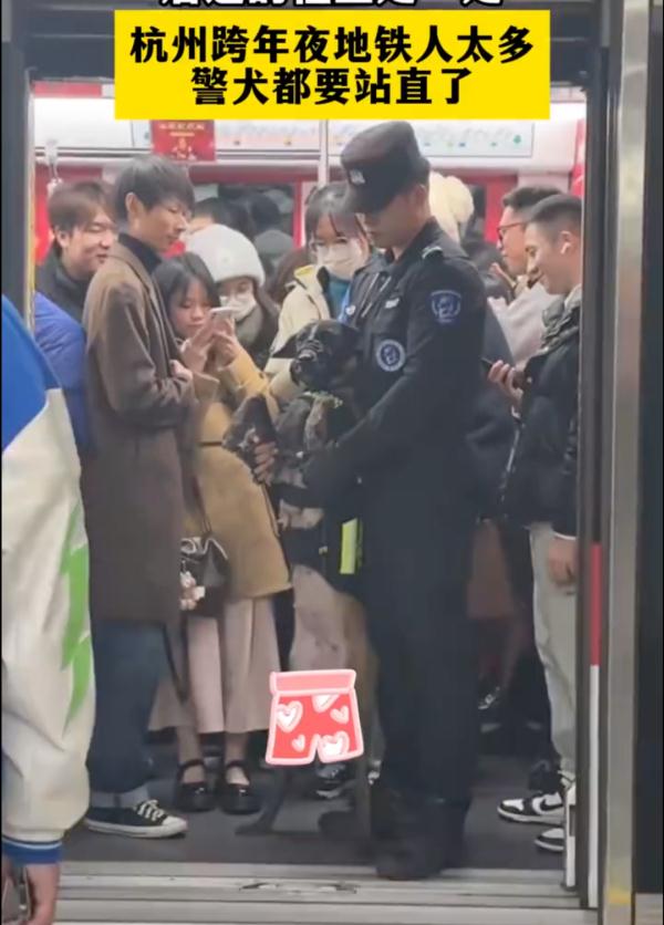 一“站”成名！跨年夜，警犬站立乘地铁引围观