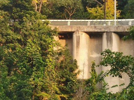 立交桥下藏着5个巨型马蜂窝，看消防如何搞定