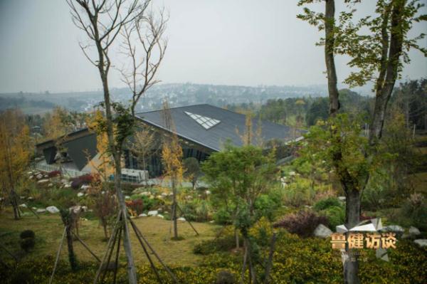 漂洋过海只为爱,日本女孩和大熊猫的双向奔赴 漂洋过海只为爱,日本女孩和大熊猫的双向奔赴