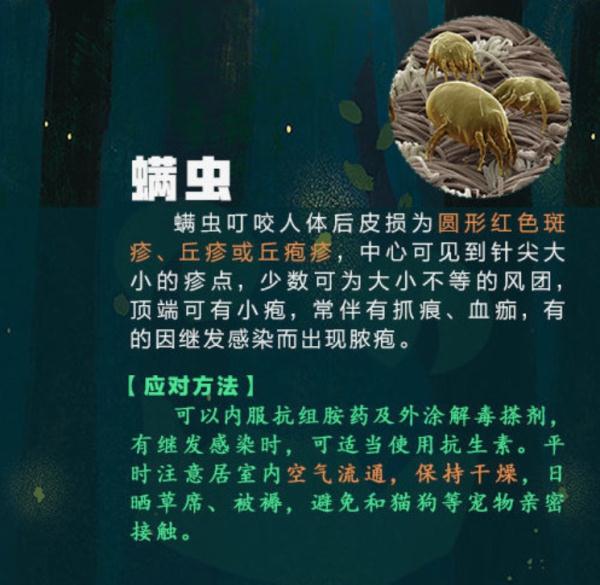 女孩拍完写真照，全身出红疹！医生紧急提醒：多人已中招……