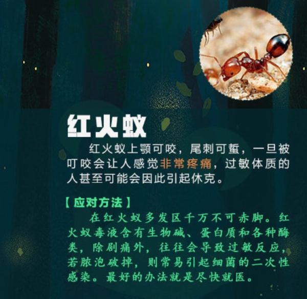 女孩拍完写真照，全身出红疹！医生紧急提醒：多人已中招……