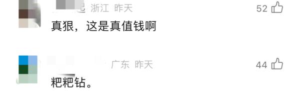 珠宝店的钻石“不翼而飞”，一查监控竟是被猫吃了……