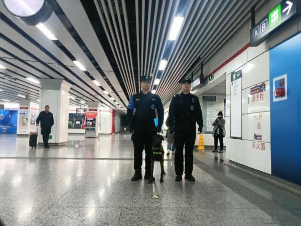 一“站”成名！跨年夜，警犬站立乘地铁引围观