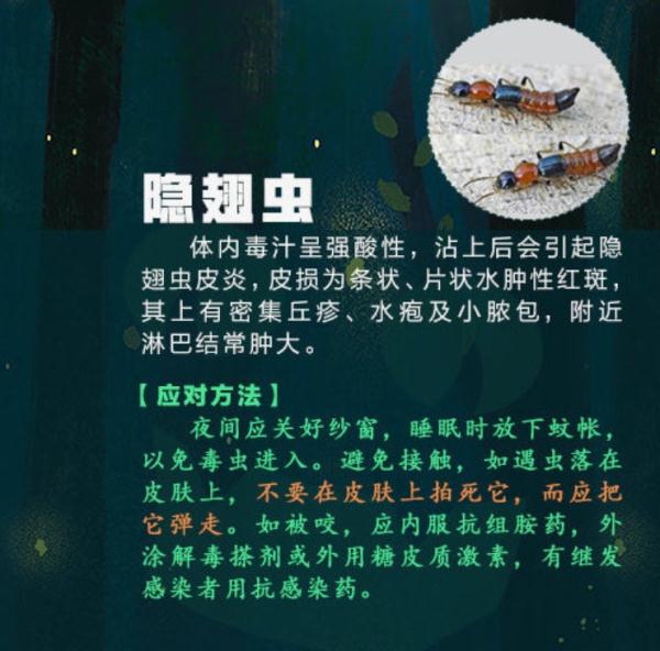 女孩拍完写真照，全身出红疹！医生紧急提醒：多人已中招……