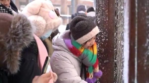 当“东北金渐层”遇见“南方小金豆” 碰撞出的火花“咔咔滴” 当“东北金渐层”遇见“南方小金豆” 碰撞出的火花“咔咔滴”