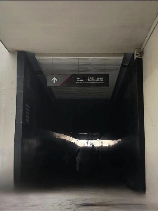哈尔滨这个地方排起长队，看哭无数网友