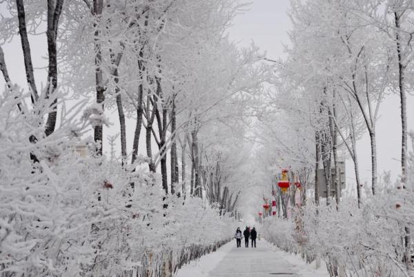 “尔滨”火了，东北特产也卖爆了！它，销售额直接暴增超104倍！