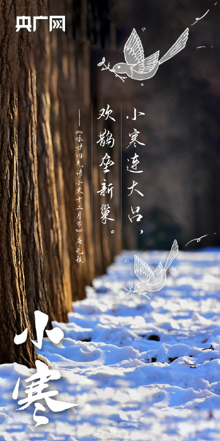小寒至！不畏严寒关终迎春日暖