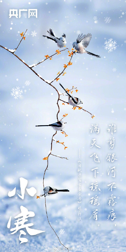 小寒至！不畏严寒关终迎春日暖