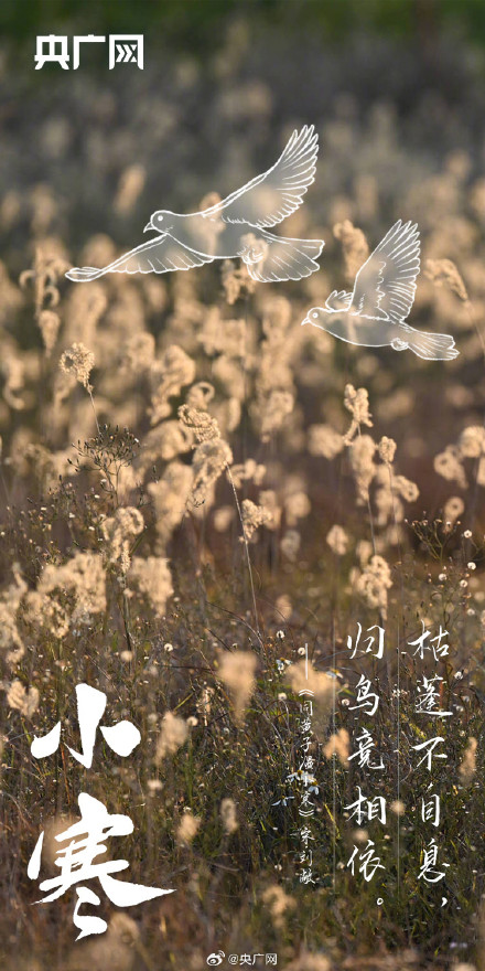 小寒至！不畏严寒关终迎春日暖