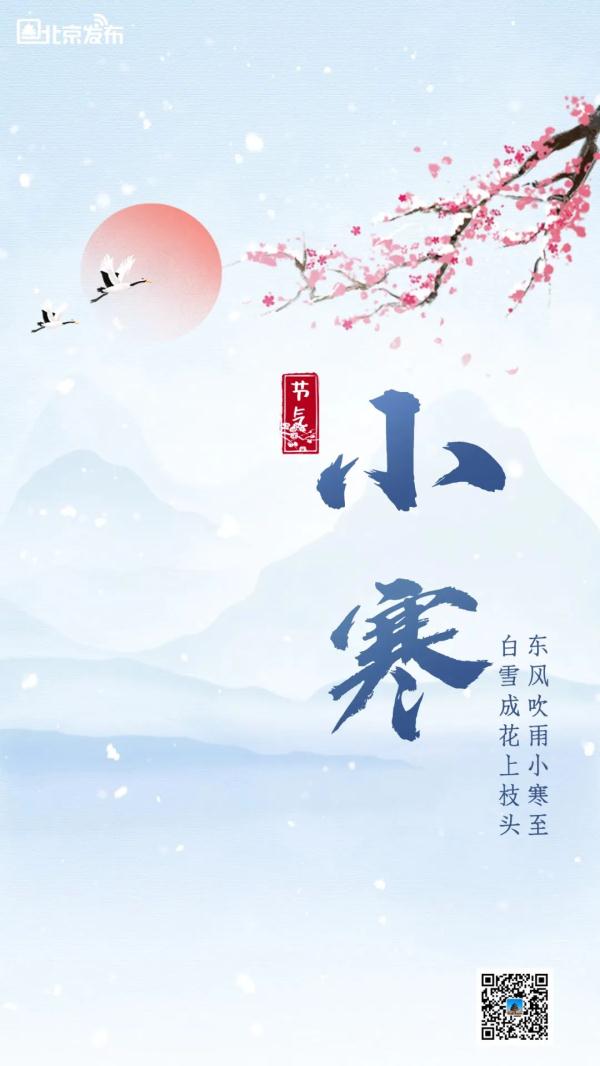 今日小寒|小寒连大吕 欢鹊垒新巢 今日小寒|小寒连大吕 欢鹊垒新巢