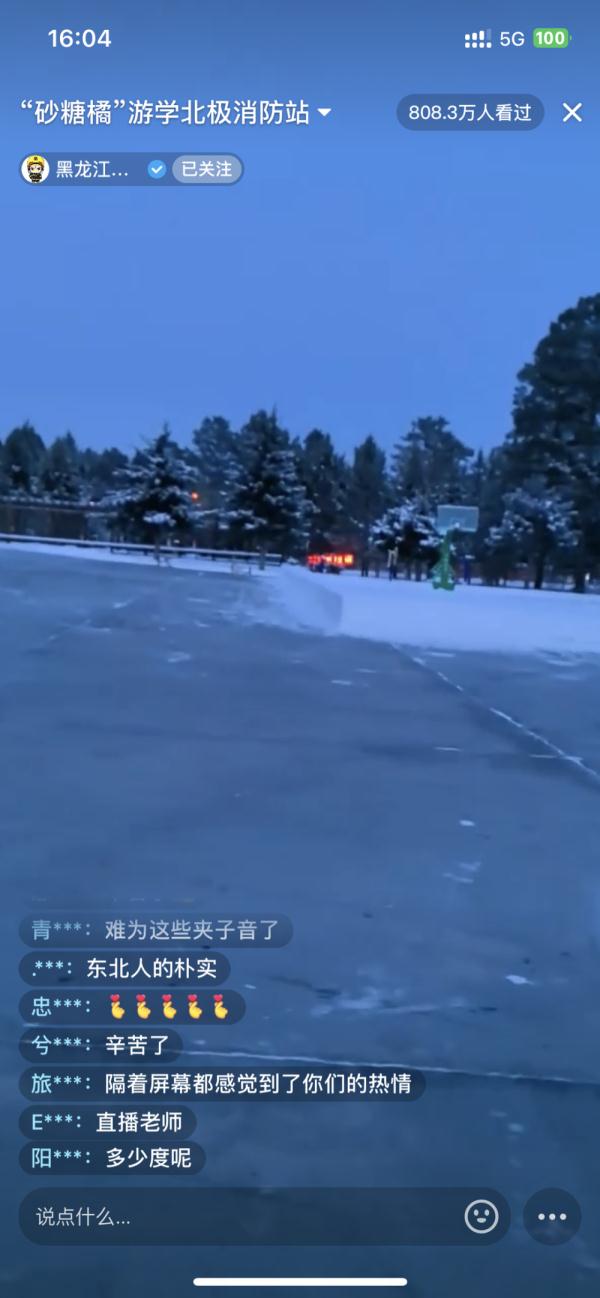 小砂糖橘勇闯东北 最北“火焰蓝”温暖相伴