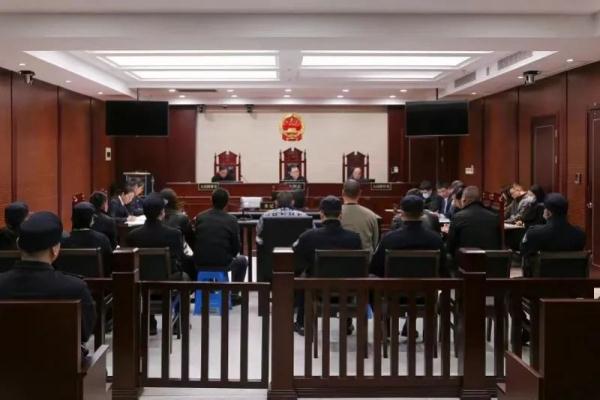 “孩子看久了头晕”！家长举报，7人获刑
