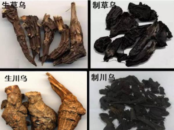 不能乱吃！昆明已发生中毒事件20余起